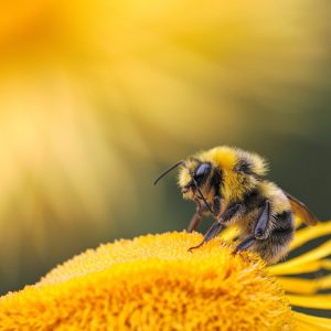 slider_2