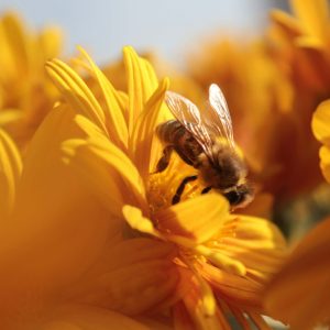 slider_3